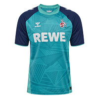 Ausweichtrikot 2024/25 Senior (7)