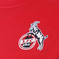 Präsentationsshirt Rot 2022/23 Senior (4)