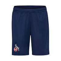 Ausweichshorts 2024/25 Junior (4)