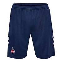 Ausweichshorts 2024/25 Senior (4)