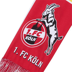 Druckschal "Die Macht am Rhein"