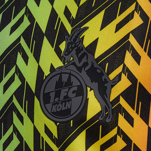 Aufwärmshirt "Diversity" 2024/25 Junior