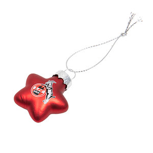 Weihnachtsanhänger Sterne 10er Set