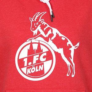 Frauen Hoodie "Basic rot"