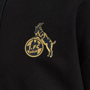 Freizeithoodie "Dom" 2025/26 Senior