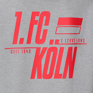 Hoodie "Am Grauen Stein"