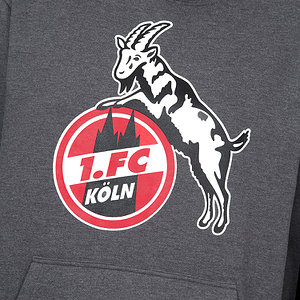 Herren Hoodie "Basic anthra"