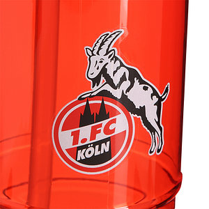 Trinkflasche Sport rot