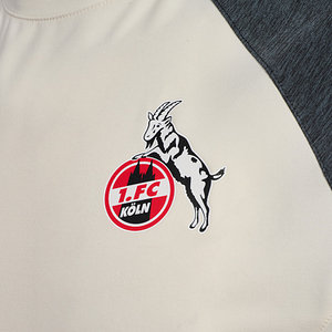 Präsentationsshirt "Light" 2025/26 Senior