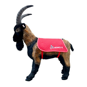 Steiff Hennes IX. lebensgroß