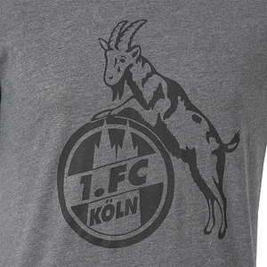 Herren T-Shirt "Basic anthra"