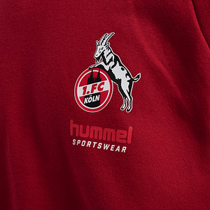 Lifestyle Oversize Hoodie "Rot" 2025/26 Senior