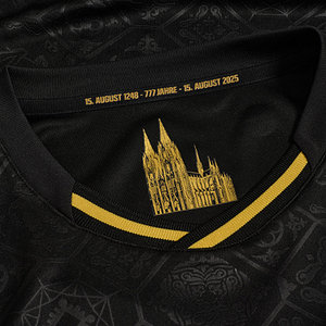 Ausweichtrikot 2025/26 Langarm