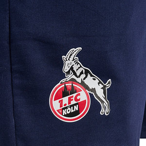 Präsentationsshorts "Navy" 2024/25 Senior