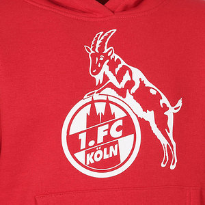 Kids Hoodie "Basic rot"