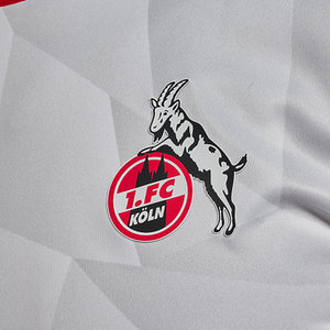 Aufwärmshirt 2024/25 "Heim" Senior