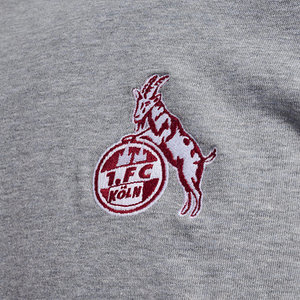 Freizeithoodie 2024/25 "Grau"