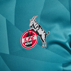 Aufwärmshirt 2024/25 "Ausweich" Senior