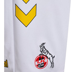 Fastelovend Shorts 2025/26 Senior