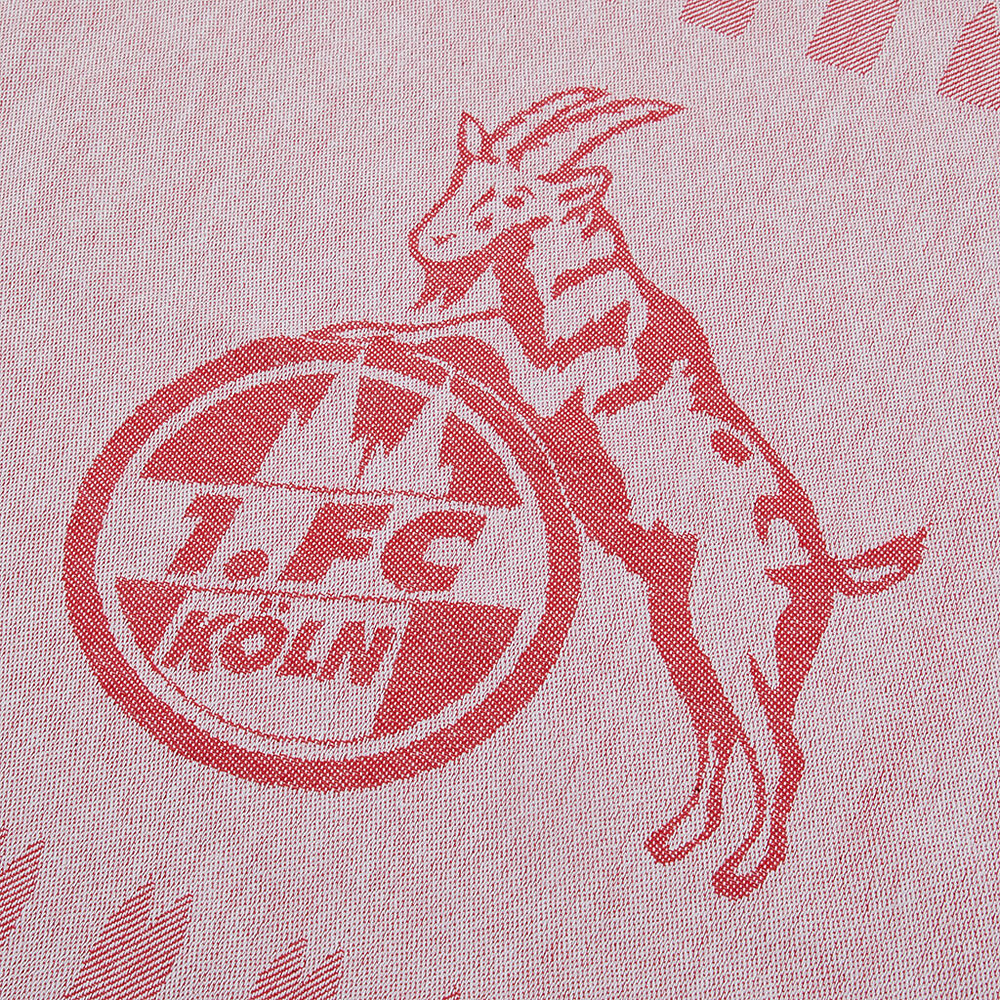 1 FC Köln Geschirrhandtuch im 2er Set 