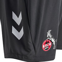 Trainingsshorts "Anthra" 2024/25 Junior (3)