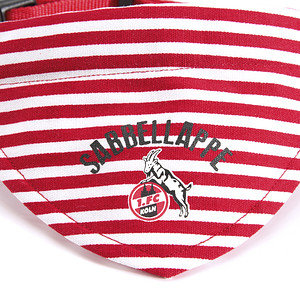 Halsband mit Dreiecktuch