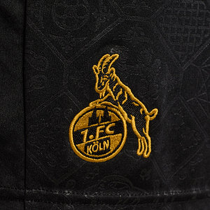 Ausweichshorts 2025/26 Junior