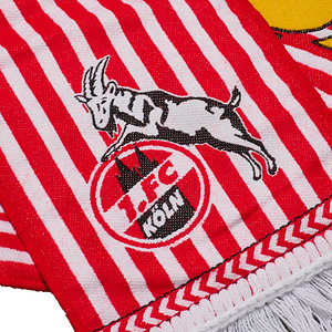 hummel Fanschal "Fastelovend"