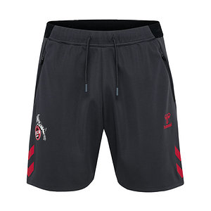 Präsentationsshorts "Dark" 2025/26 Senior