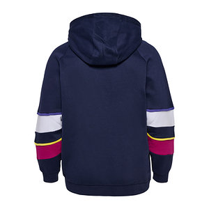 Lifestyle Hoodie 2024/25