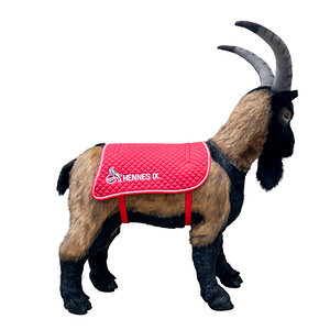 Steiff Hennes IX. lebensgroß