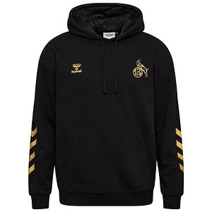 Freizeithoodie "Dom" 2025/26 Senior