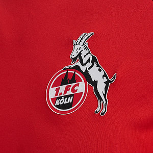 Trainingsshirt 2024/25 "Rot" Senior