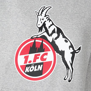 Frauen Hoodie "Basic grau"