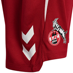 Trainingsshorts "Rot" 2025/26 Junior