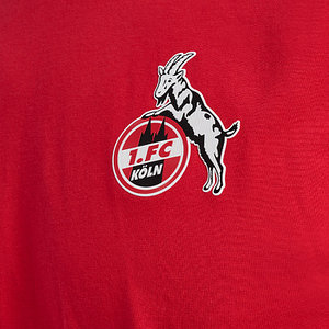 Präsentationsshirt "Rot" 2024/25 Senior