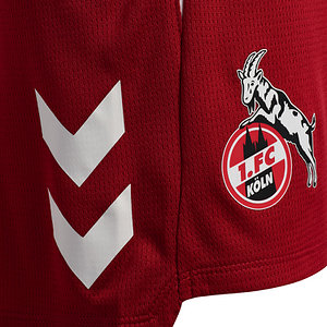 Trainingsshorts "Rot" 2025/26 Senior