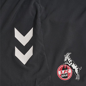 Trainingsshorts "Anthra" 2024/25 Senior