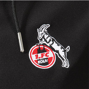 Softshelljacke "Schwindstr."