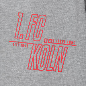 Hoodie "Am Grauen Stein"