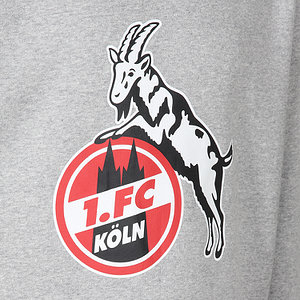 Kids Hoodie "Basic grau"