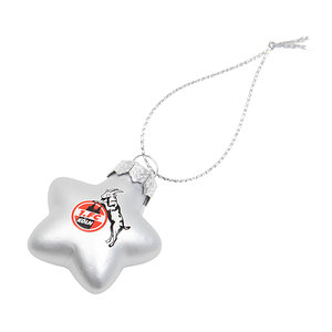 Weihnachtsanhänger Sterne 10er Set