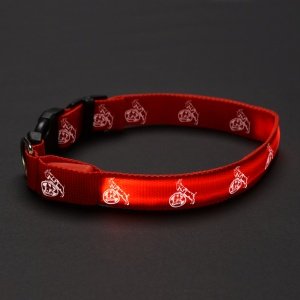 LED Hundehalsband